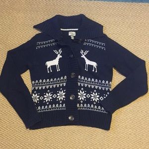 BASS holiday sweater